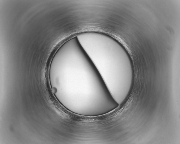 X0000111590439200907161156