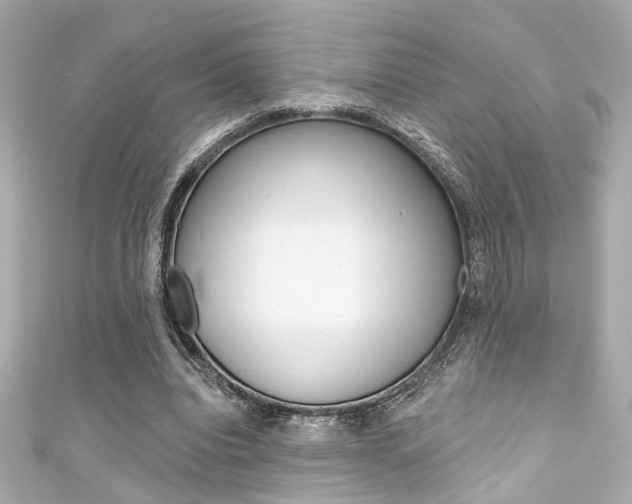 X0000111590440200907161156