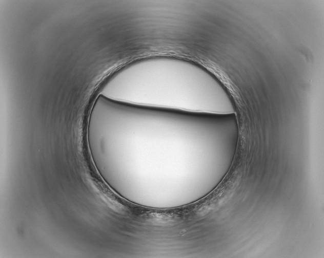 X0000111590442200907161156