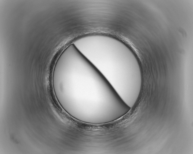 X0000111590443200907161156