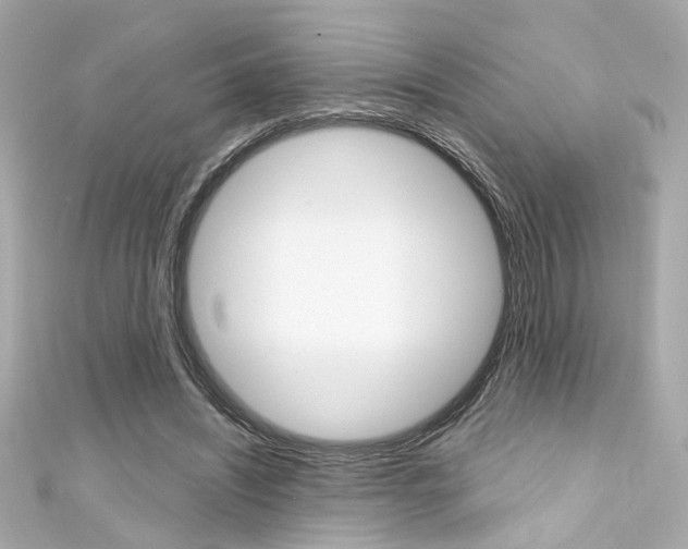X0000111590444200907161156