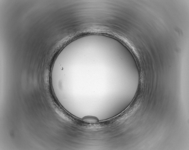 X0000111590445200907161156