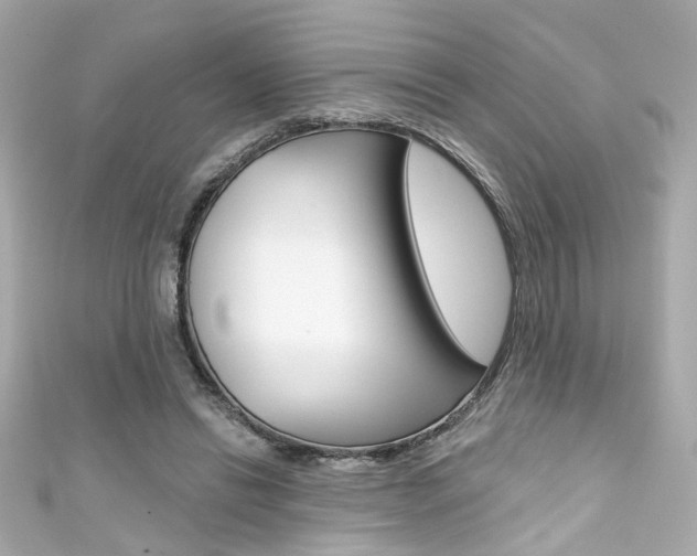 X0000111590446200907161156