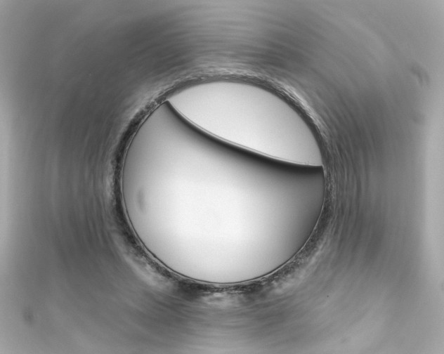 X0000111590447200907161156