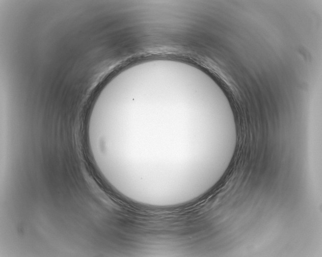 X0000111590448200907161156