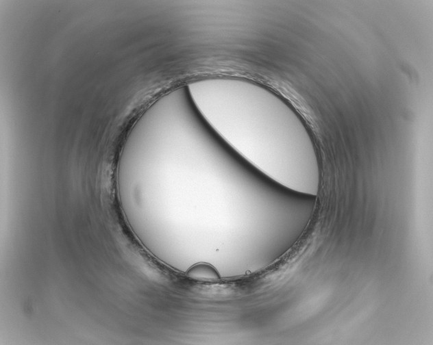 X0000111590449200907161156