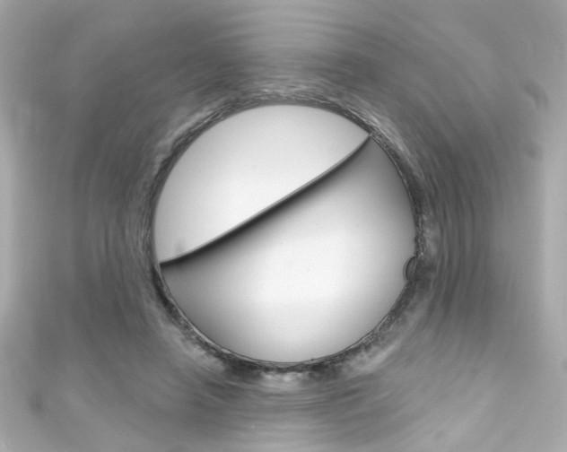 X0000111590450200907161156