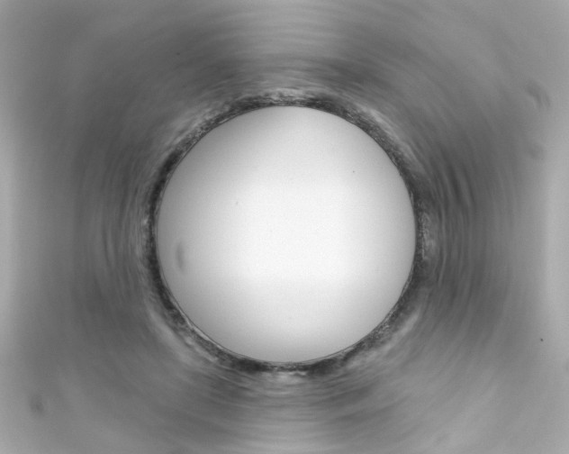 X0000111590451200907161157