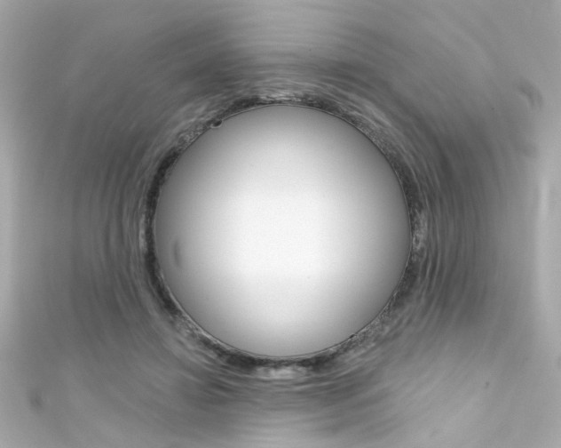 X0000111590452200907161157