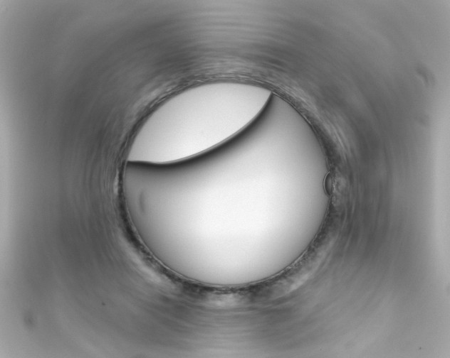 X0000111590454200907161157