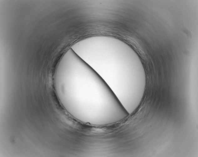 X0000111590457200907161157