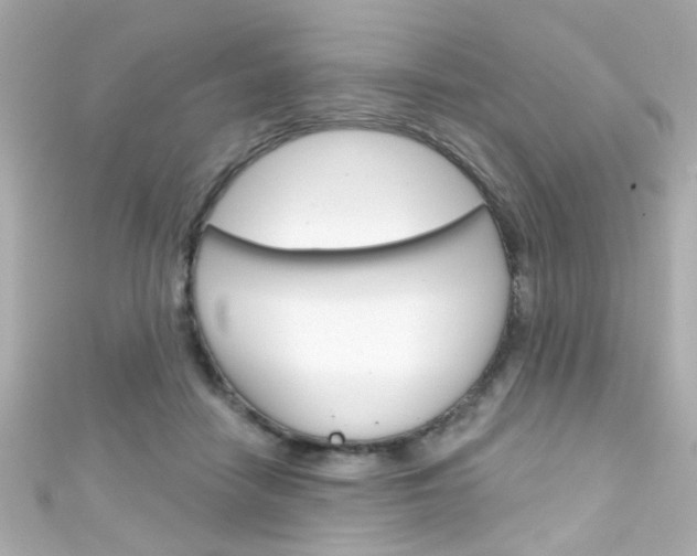 X0000111590458200907161157