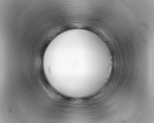 X0000111590459200907161157