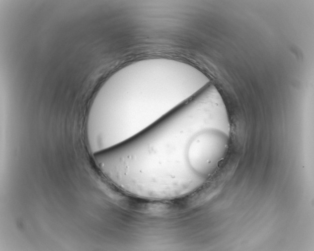 X0000111590462200907161157
