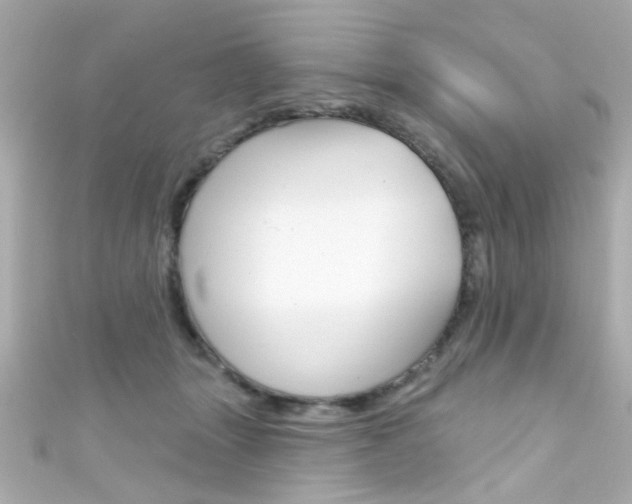 X0000111590463200907161157