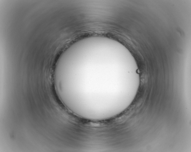 X0000111590464200907161157