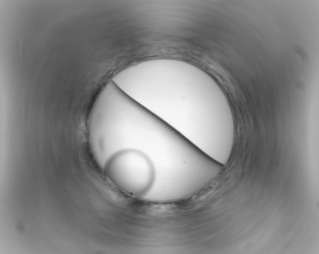 X0000111590465200907161157