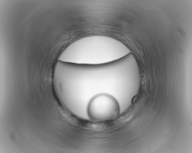 X0000111590466200907161157