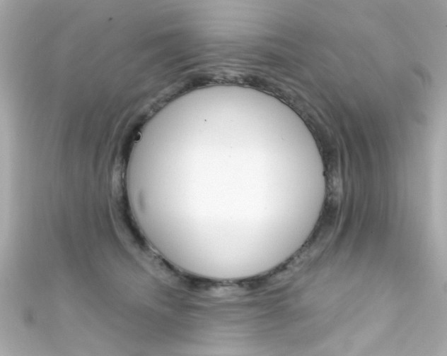 X0000111590468200907161157