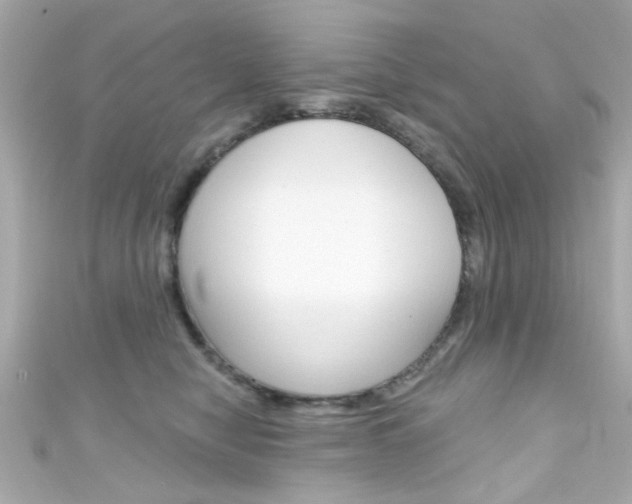 X0000111590470200907161157