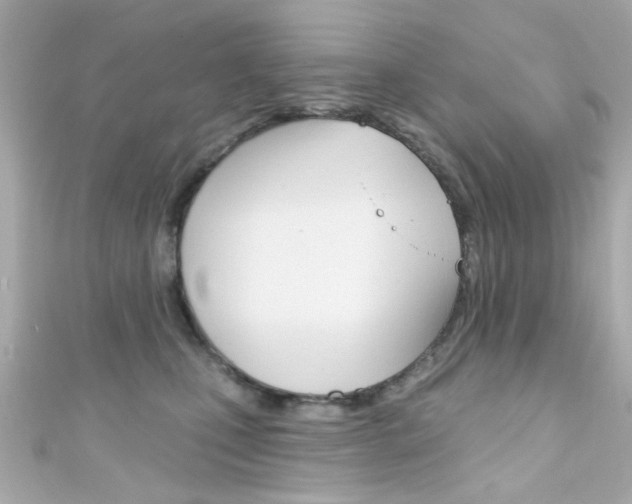 X0000111590471200907161157