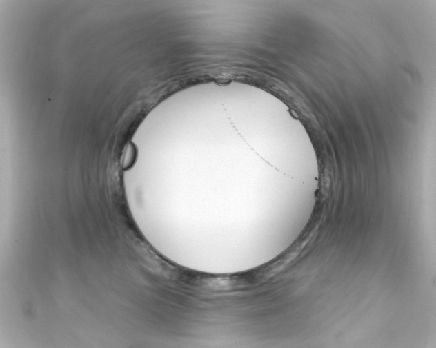 X0000111590473200907161157