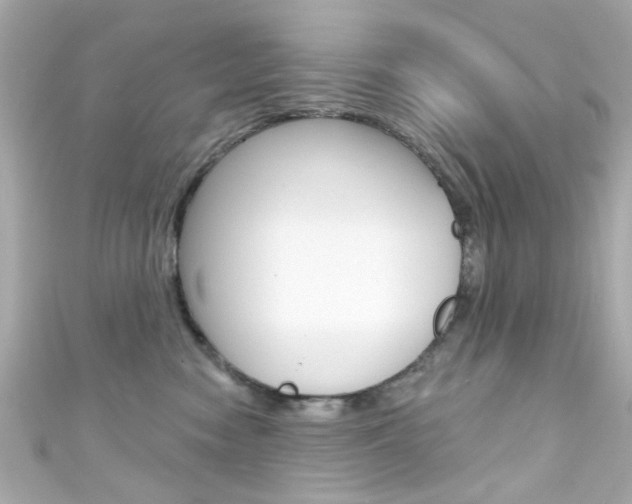 X0000111590474200907161157