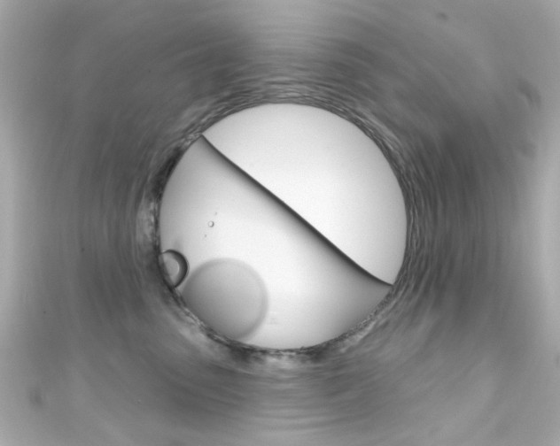 X0000111590475200907161157