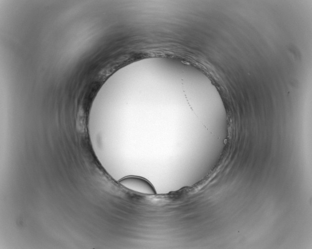 X0000111590477200907161157