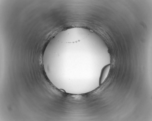 X0000111590478200907161157