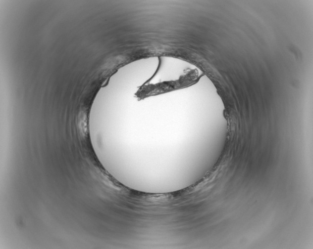 X0000111590479200907161157