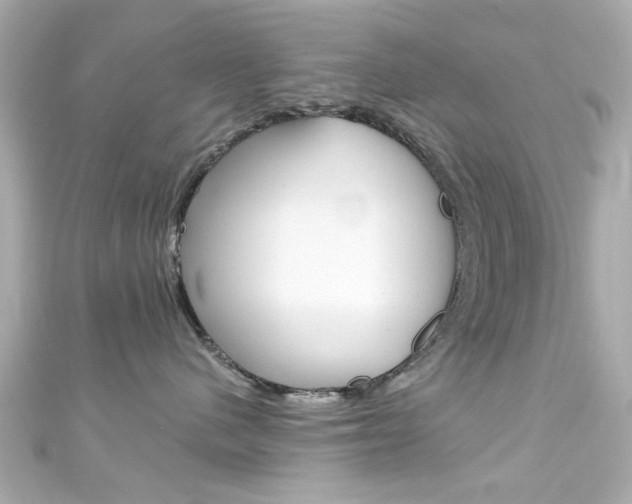 X0000111590480200907161157