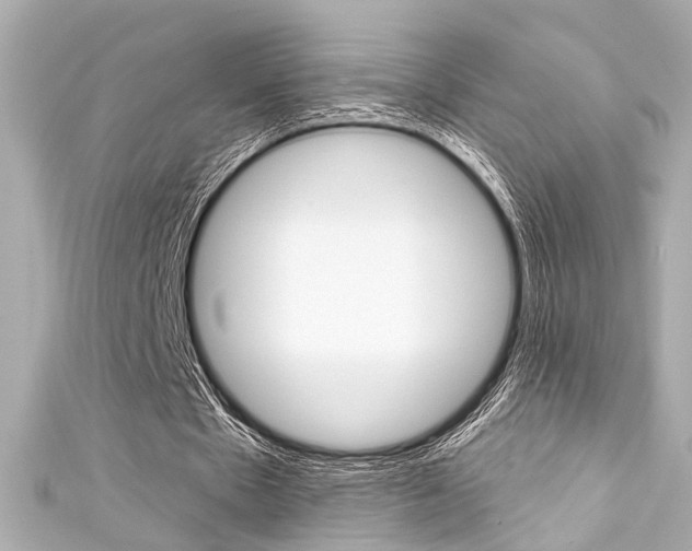X0000111590481200907161156