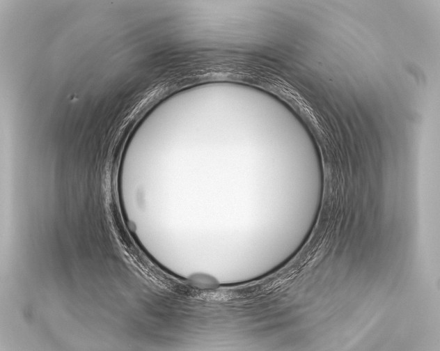 X0000111590482200907161156