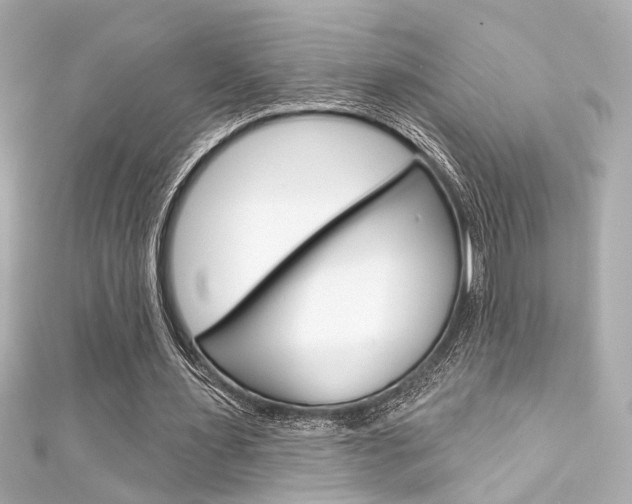 X0000111590483200907161156