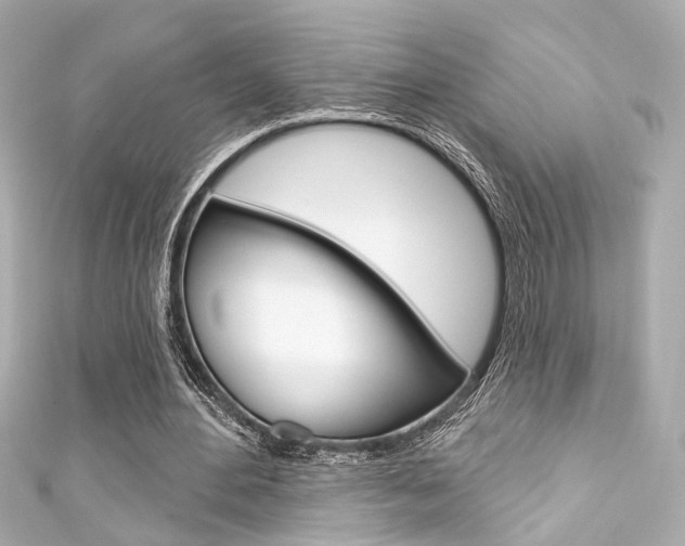 X0000111590484200907161156