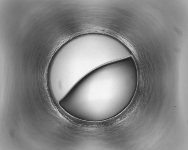 X0000111590485200907161156