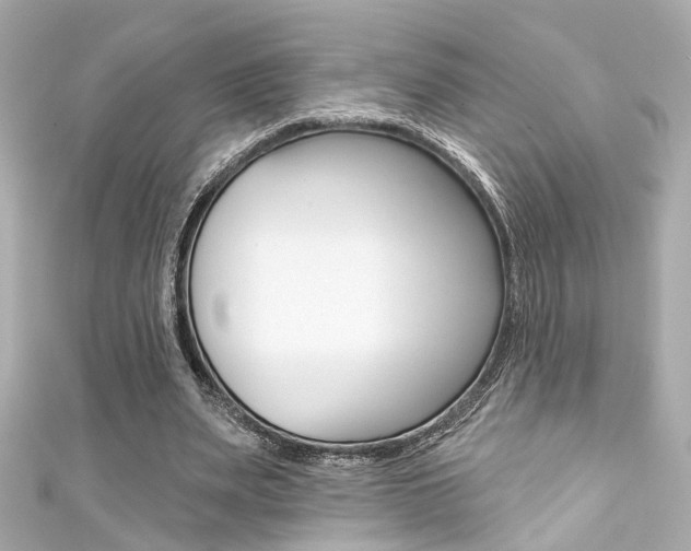 X0000111590487200907161156