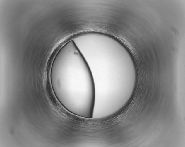 X0000111590488200907161156