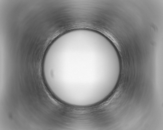 X0000111590489200907161156