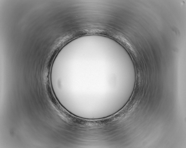 X0000111590490200907161156