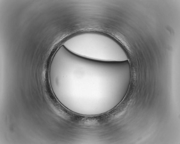 X0000111590491200907161156