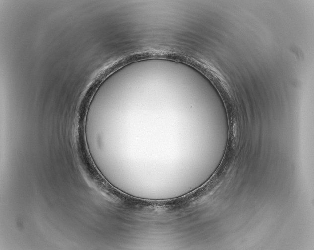 X0000111590492200907161156