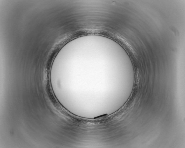 X0000111590494200907161156