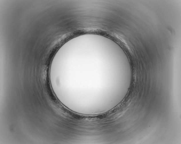 X0000111590495200907161156