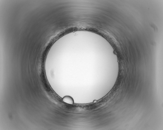 X0000111590496200907161156