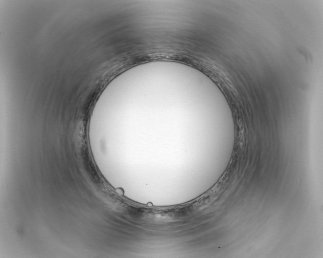 X0000111590498200907161156