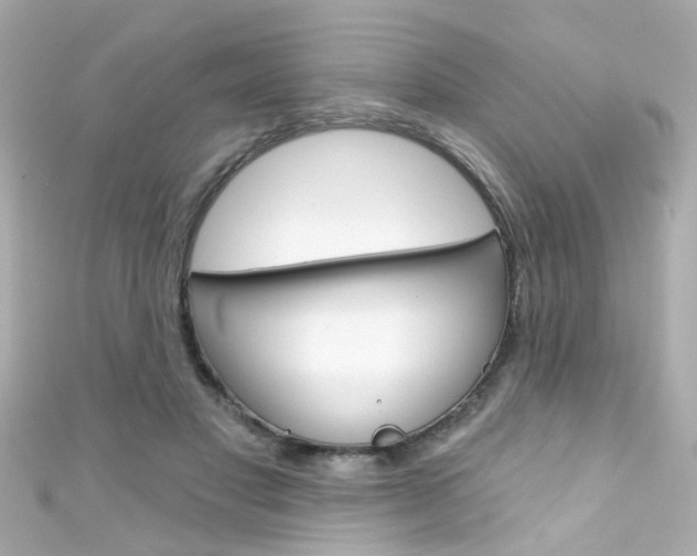 X0000111590501200907161156