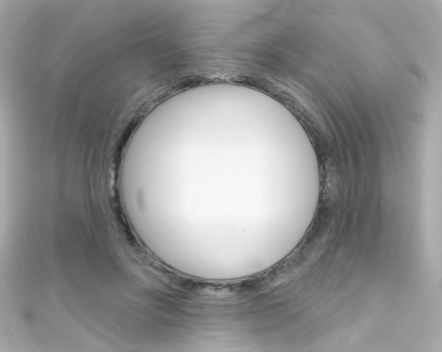 X0000111590502200907161156