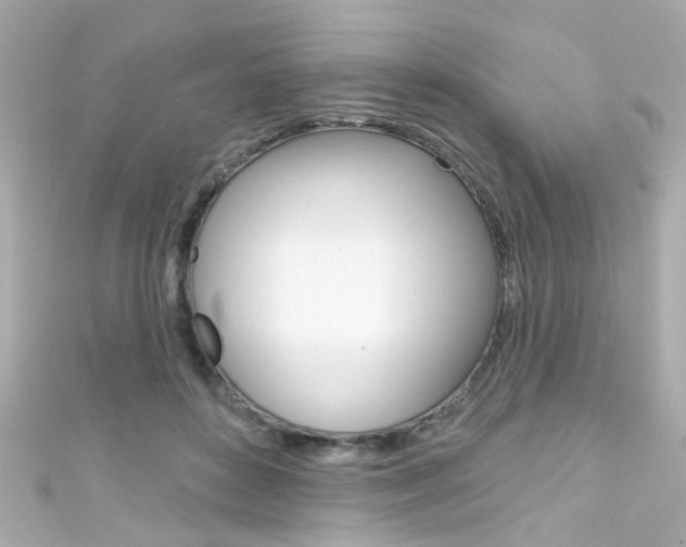 X0000111590504200907161156